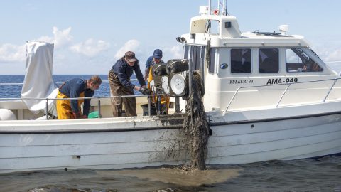 Ида-вирумааским инспекторам рыбнадзора в дальнейшем нечего будет делать на Чудском озере, их вотчиной останутся море и внутренние водоемы. (Фото: Инспекция окружающей среды)